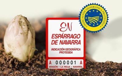 LA CAMPAÑA DEL ESPÁRRAGO; A PLENO RENDIMIENTO