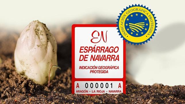 LA CAMPAÑA DEL ESPÁRRAGO; A PLENO RENDIMIENTO