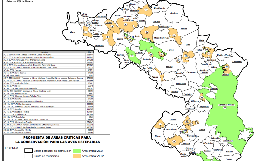 ALINAR alerta sobre las graves consecuencias que traería la aprobación del Proyecto de Decreto Foral del “Plan de Recuperación y Conservación de Aves Esteparias»