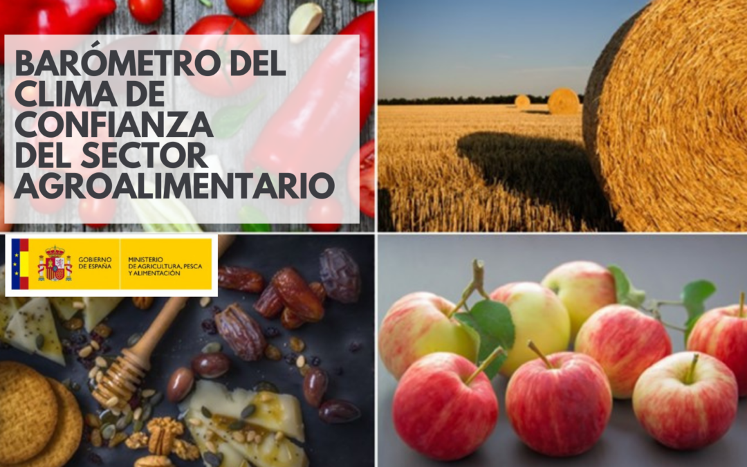 El número de consumidores interesados en los productos alimentarios innovadores ha crecido en 22 puntos desde 2018