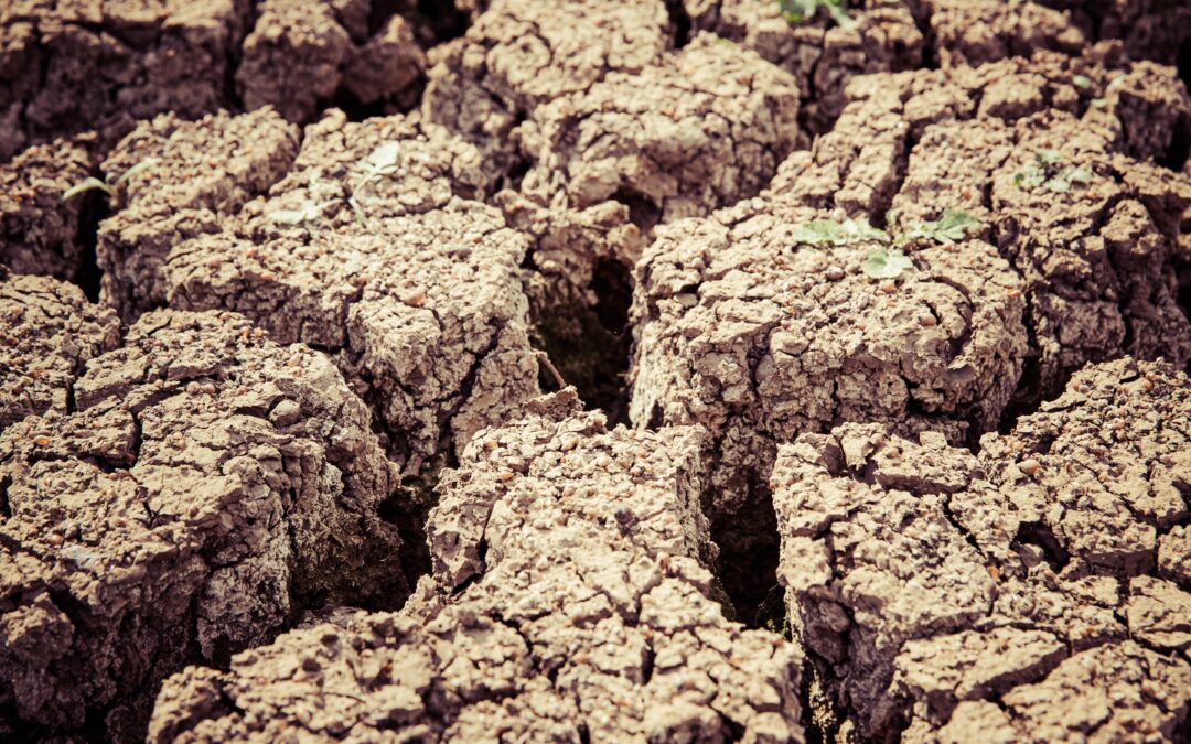 FIAB solicita un tratamiento especial para la industria de alimentación y bebidas ante la sequía