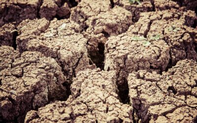 FIAB solicita un tratamiento especial para la industria de alimentación y bebidas ante la sequía