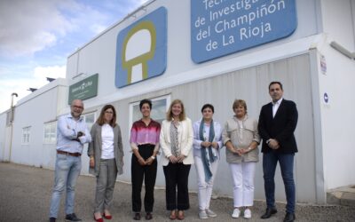 La Rioja estudia posibles ayudas al sector del champiñón y la seta ante el incremento del precio de la paja