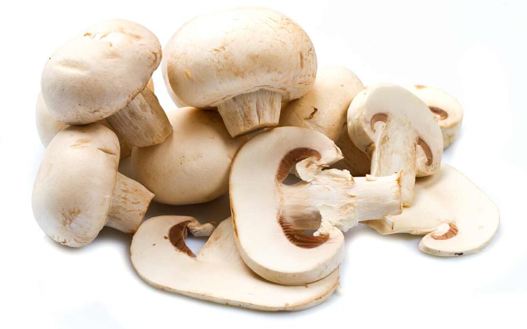 El Gobierno de La Rioja apoyará al sector del champiñón y la seta con un plan estratégico y 3,1 millones de euros de ayudas directas