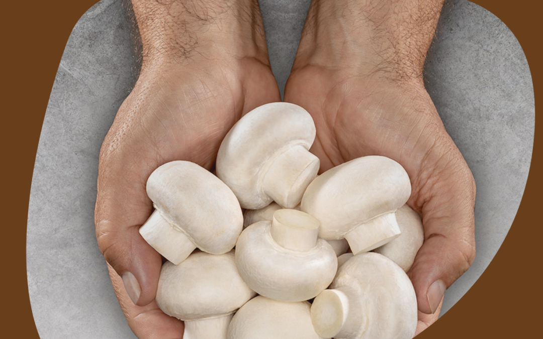 The Real ChampiON recibe el sello Sabor del Año 2024